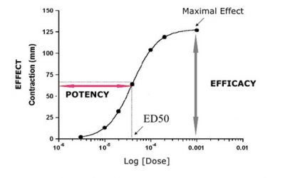 Training@Staburo: Pharmacokinetics and Pharmacodynamics