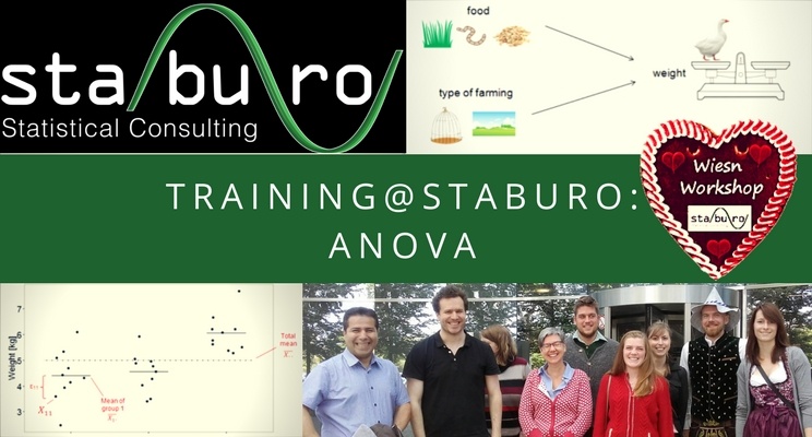 Training@Staburo: ANOVA