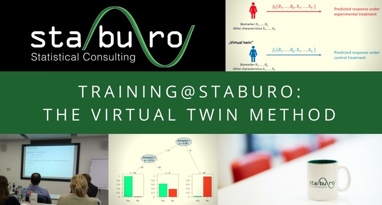 Training@Staburo: The Virtual Twin Method to identify patient subgroups