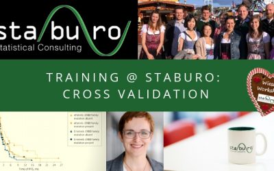 Training @ Staburo: How to use cross-validation to obtain reliable subgroup effects