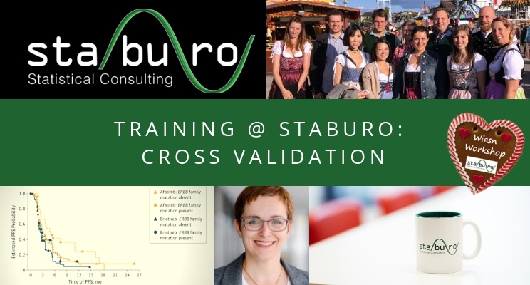 Training @ Staburo: How to use cross-validation to obtain reliable subgroup effects