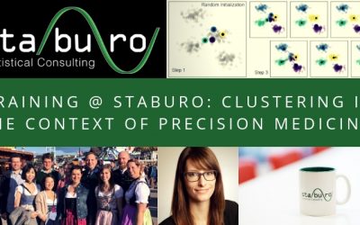 Training @ Staburo: clustering in the context of precision medicine