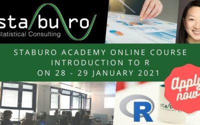 Staburo Academy online course Introduction to R