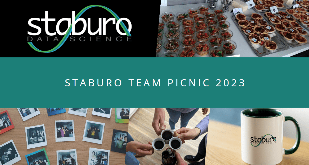 Staburo Team Picnic