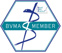 BVMA Member