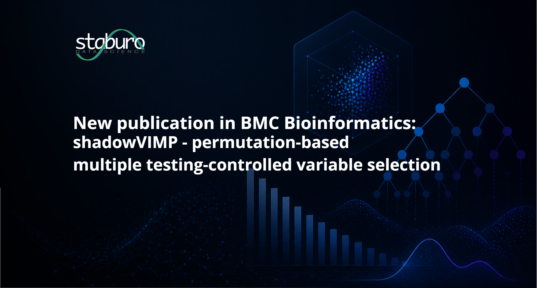 New publication in BMC Bioinformatics: shadowVIMP: permutation-based multiple testing-controlled variable selection
